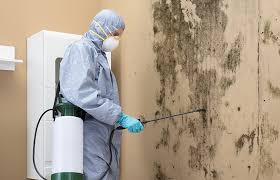 Groton, SD Mold Remediation Company